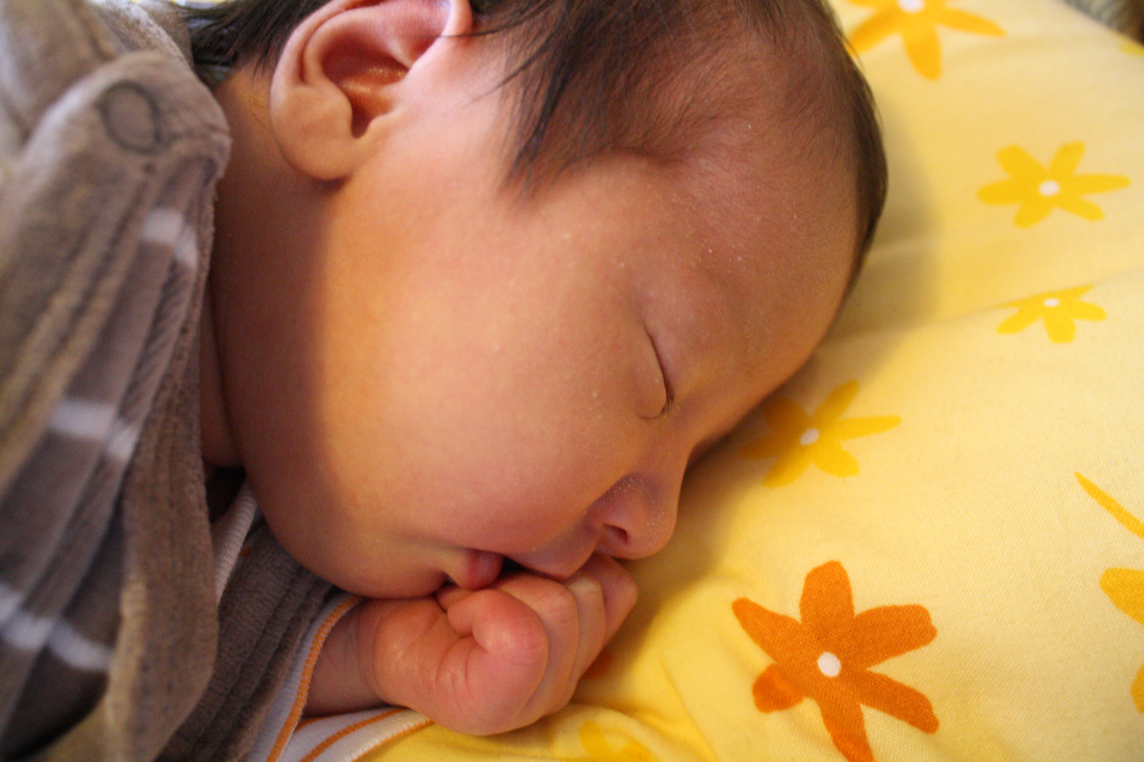 /bilder/4-Emilia-Erste-Tage/15a-IMG_6149.JPG