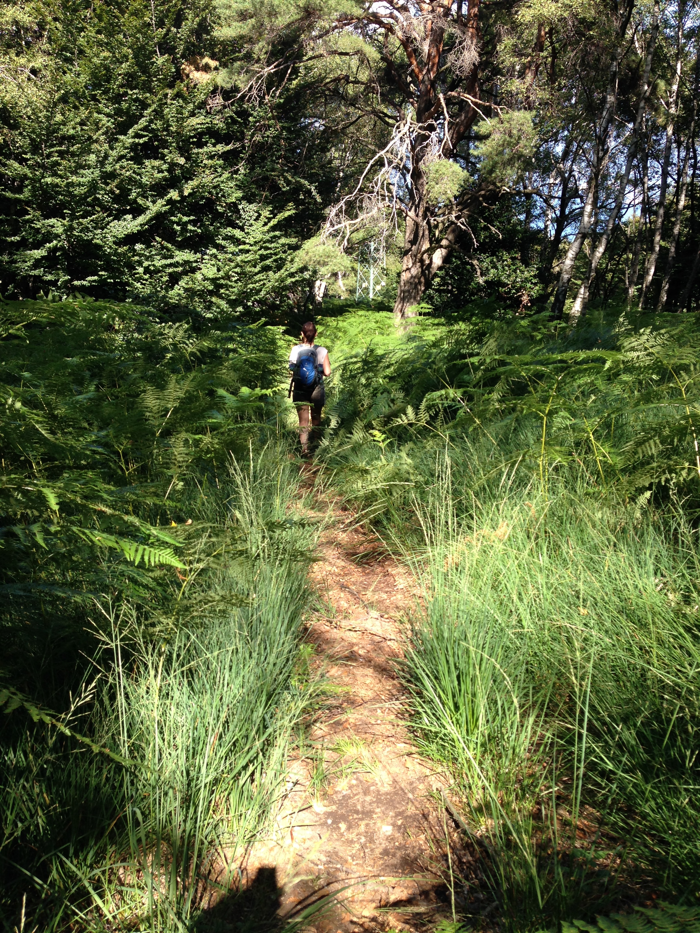 /bilder/5-Piemont/IMG_1483.jpg