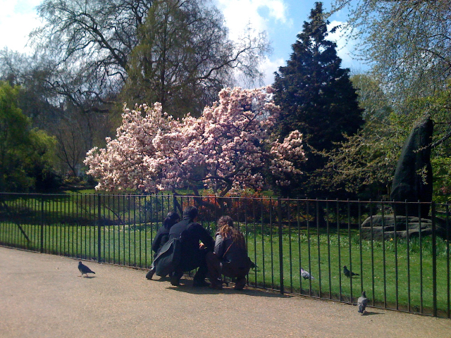 /schnipsel/200904-apr-2009/05-/VOVEromLdlzof5a78uyulyfeo1_hd.jpg