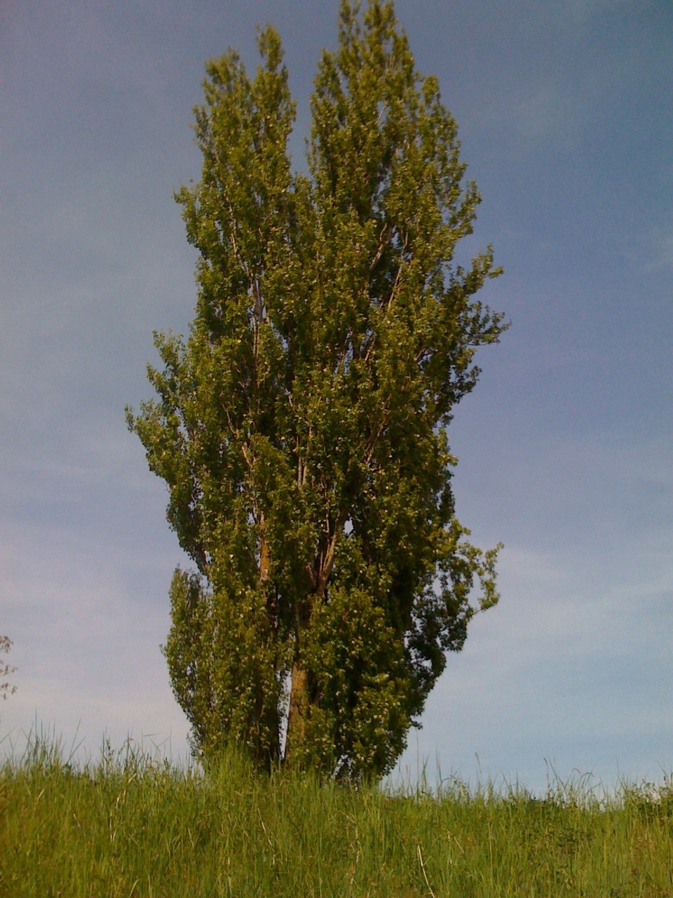 /schnipsel/200904-apr-2009/24-gestern-beim-fahrrad-fahren/VOVEromLdmr52wsc6CBPjFNBo1_hd.jpg