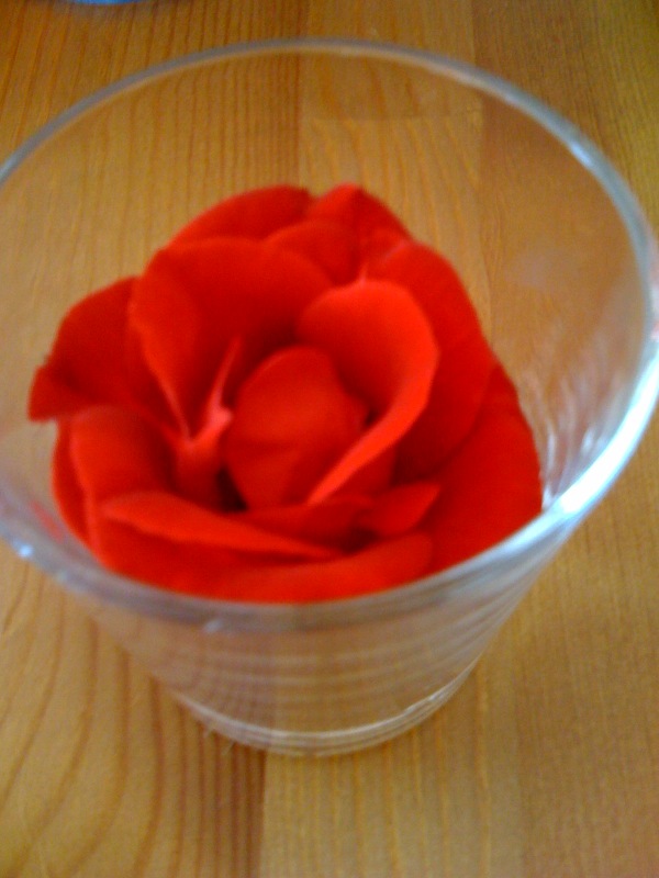 /schnipsel/200906-jun-2009/01-geburtstagsrose/VOVEromLdo6xf486wKx91Zxno1_hd.jpg