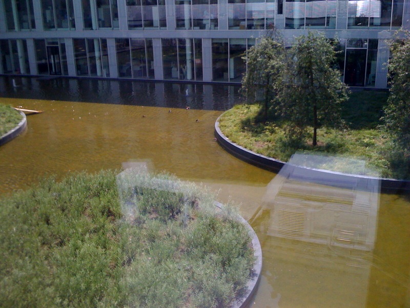 /schnipsel/200906-jun-2009/21-unsere-haus-und-hof-enten/VOVEromLdowecbno82uHRapHo1_hd.jpg