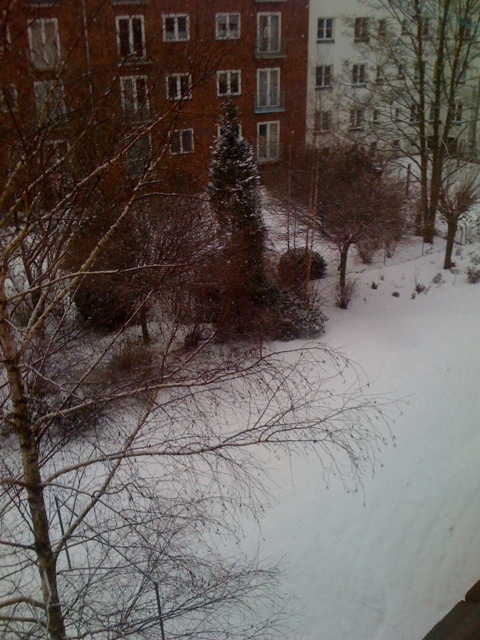 /schnipsel/201001-jan-2010/02-neuschnee-in-hamburg/tumblr_kvx7jwmcj41qznfapo1_500.jpg