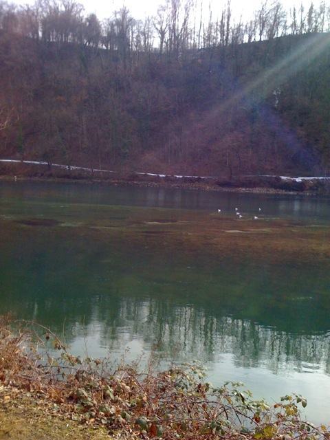 /schnipsel/201002-feb-2010/12-so-schoen-kann-der-rhein-sein-neuhaus-a-rf/tumblr_ky91mv2XWC1qznfapo1_500.jpg