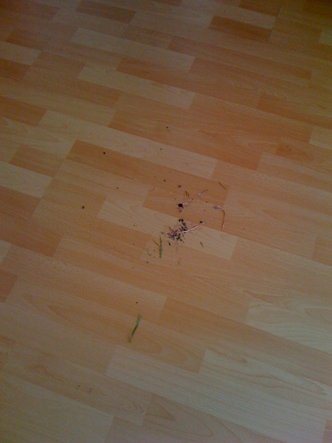 /schnipsel/201003-mar-2010/03-er-macht-nicht-nur-sauber-sondern-auch-dreck/tumblr_kyrcx4Lh621qznfapo1_500.jpg