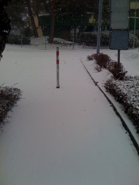 /schnipsel/201003-mar-2010/11-schoener-schnee-in-zuerich/tumblr_kyuq6wiih01qznfapo1_500.jpg