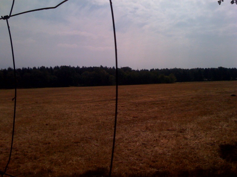 /schnipsel/201007-jul-2010/04-die-lueneburger-heide-hinter-gittern-die-ersten-50km-und-damit-die-haelfte-des-heutigen-etappenziels-ist-geschafft/tumblr_l65szzzuZf1qznfapo1_hd.jpg