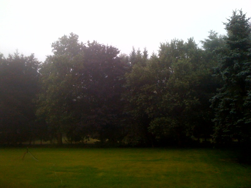 /schnipsel/201007-jul-2010/09-nebel-ueber-dem-ostholzer-moor/tumblr_l67bxeVGGL1qznfapo1_hd.jpg