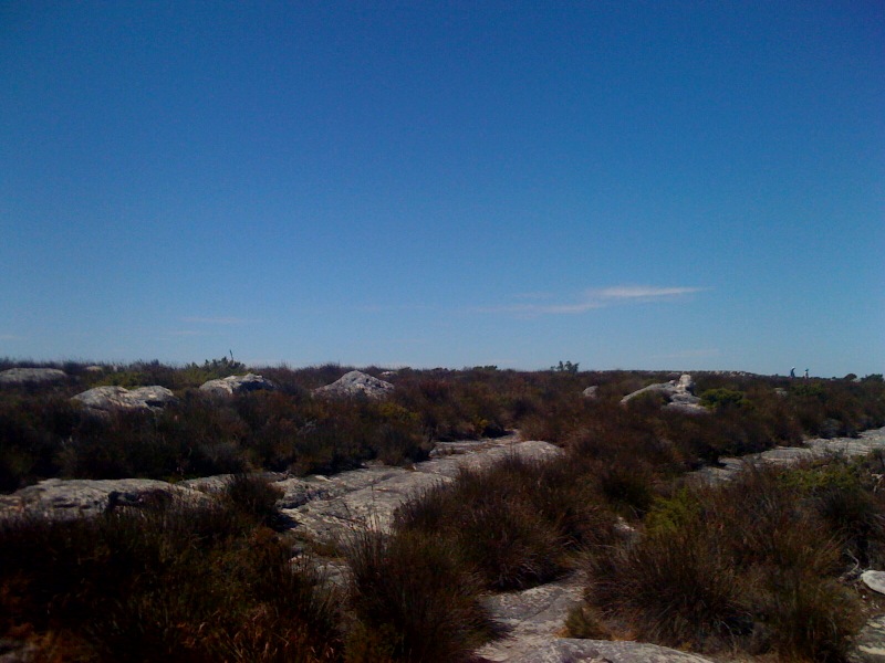 /schnipsel/201103-mar-2011/34-endlich-oben/tumblr_li5w0rYIvA1qznfapo1_1280.jpg