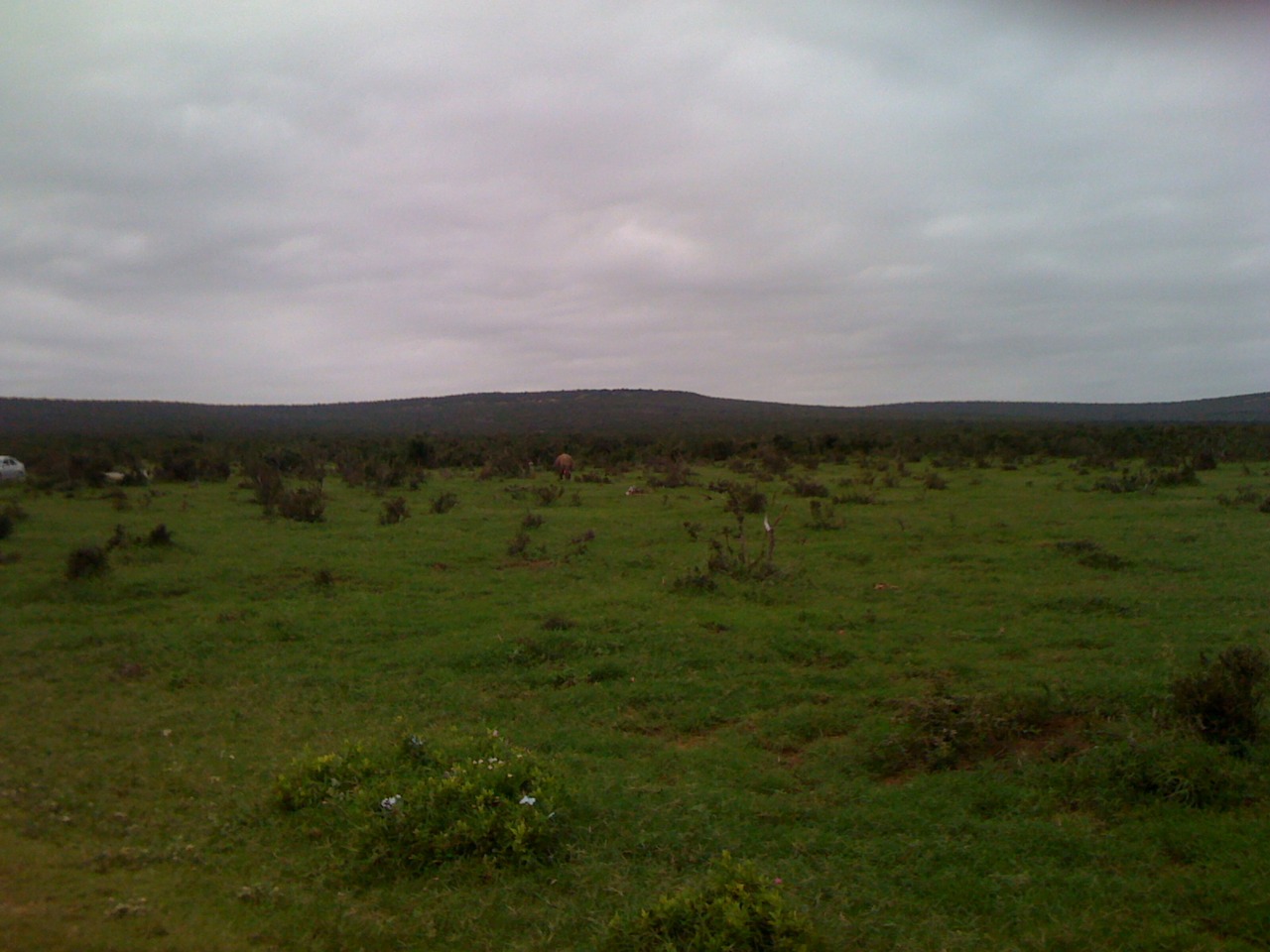 /schnipsel/201103-mar-2011/46-ein-kleiner-elefant-im-addo-national-park/tumblr_lipvl7VfrO1qznfapo1_1280.jpg