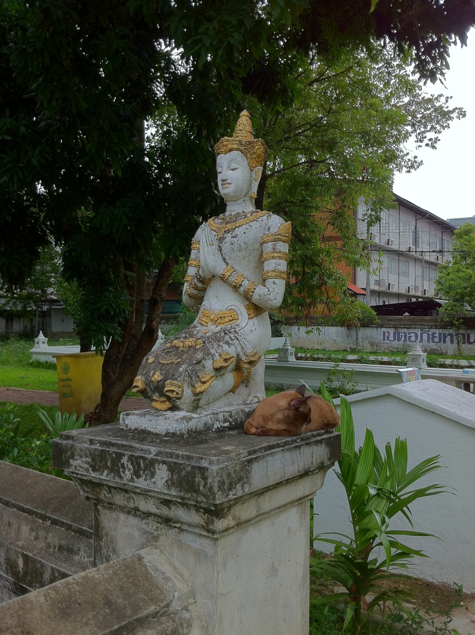 /schnipsel/201107-jul-2011/14-nett/tumblr_looi4sBIqs1qznfapo1_1280.jpg