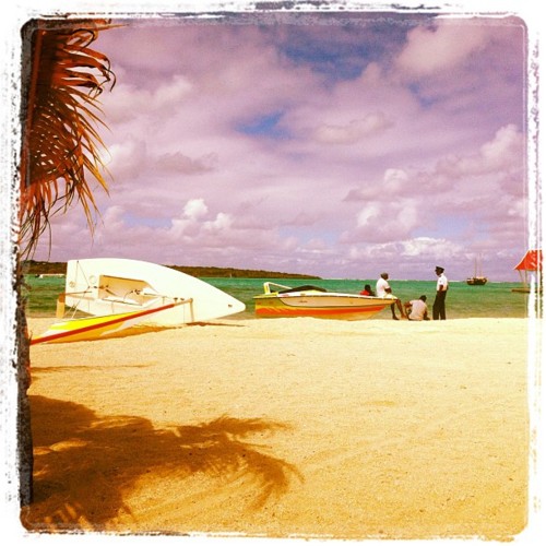 /schnipsel/201109-sep-2011/17-windy-mauritius-taken-with-instagram/tumblr_lsa378IY731qznfapo1_500.jpg