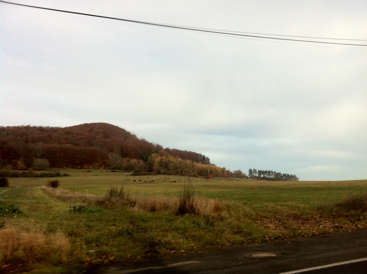 /schnipsel/201111-nov-2011/02-schoenes-herbstliches-thueringen/tumblr_lu6gn8dKZ51qznfapo1_1280.jpg