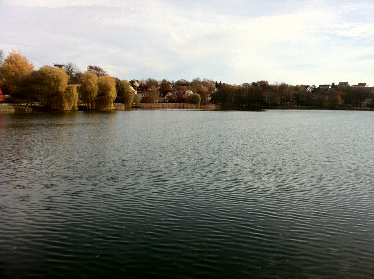 /schnipsel/201111-nov-2011/04-bad-salzungen/tumblr_lu6sakWj7w1qznfapo1_1280.jpg