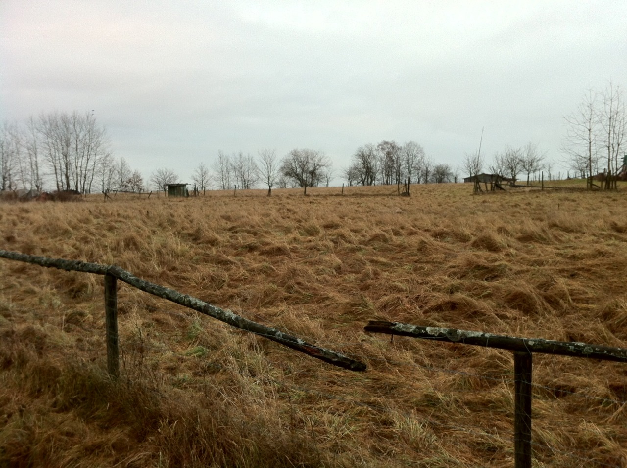 /schnipsel/201112-dez-2011/03-kraehen-auf-baum/tumblr_lwnxo8w82v1qznfapo1_1280.jpg