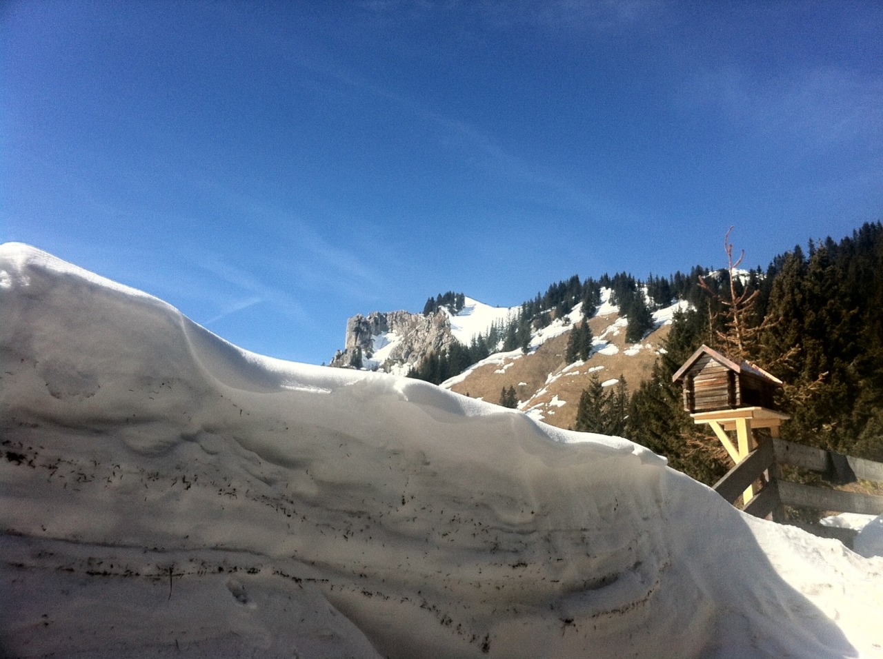 /schnipsel/201203-mar-2012/03-der-puerschlingberg/tumblr_m0irirEumm1qznfapo1_1280.jpg