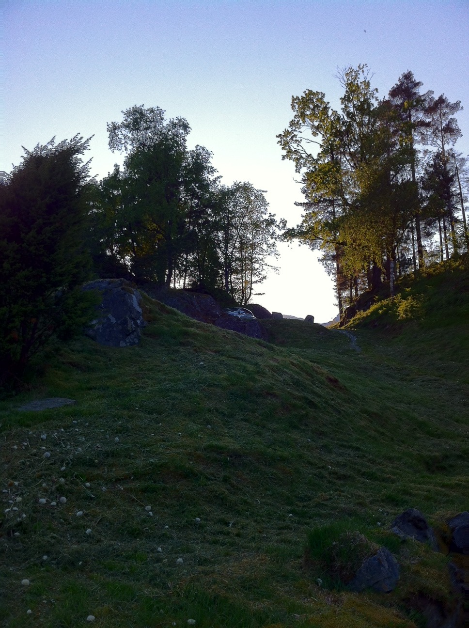 /schnipsel/201205-mai-2012/13-mein-auto/tumblr_m4qd9mfgYy1qznfapo1_1280.jpg