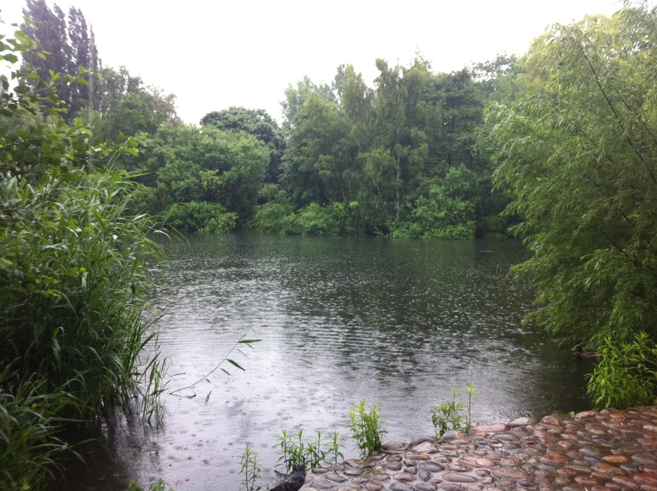 /schnipsel/201206-jun-2012/20-rainy-sunday-afternoon/tumblr_m64kxsVl261qznfapo1_1280.jpg