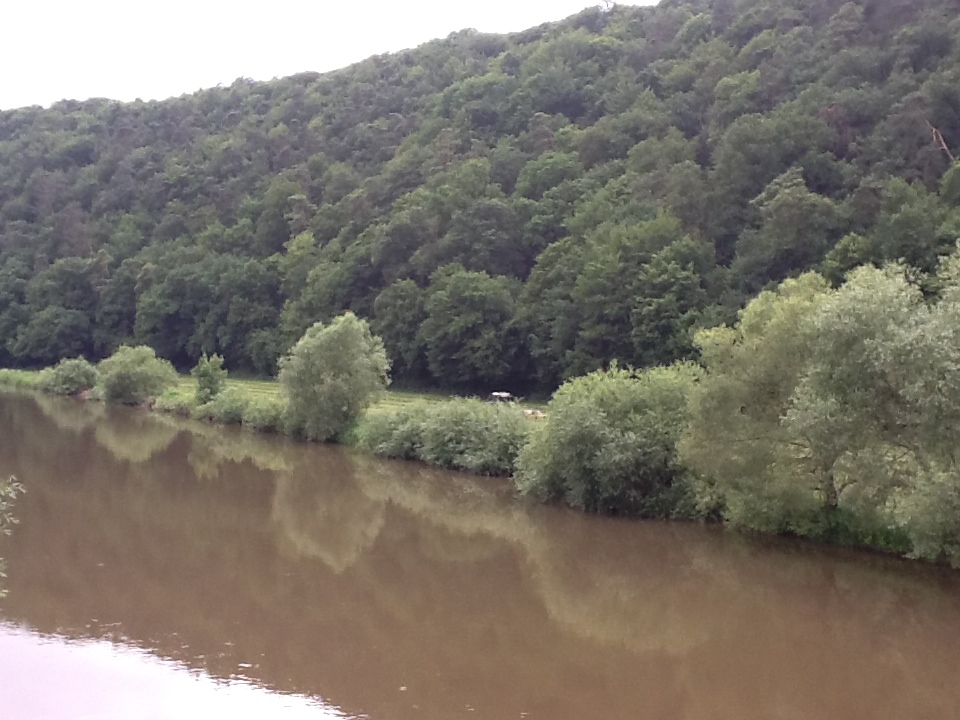 /schnipsel/201206-jun-2012/25-das-ist-die-fulda-klein-und-dreckig/tumblr_m6aal5uTqm1qznfapo1_1280.jpg