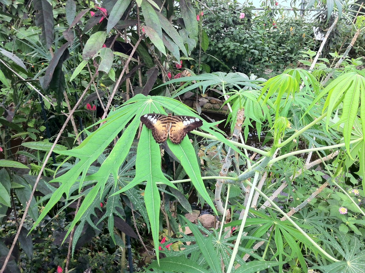 /schnipsel/201208-aug-2012/02-noch-einer/tumblr_m8fszwo67Y1qznfapo1_1280.jpg