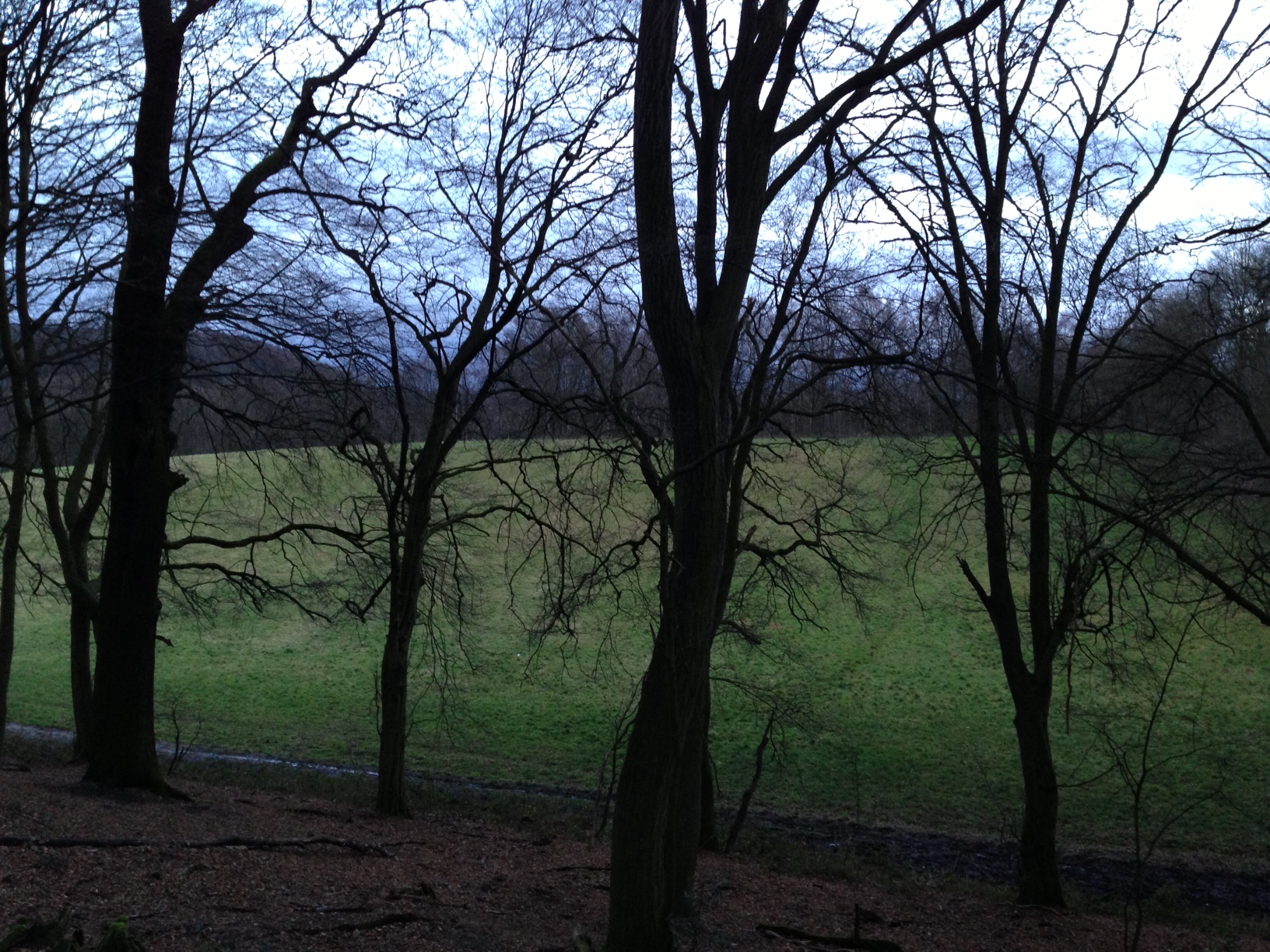 /schnipsel/201212-dez-2012/05-kaum-sind-wir-5-minuten-gegangen-schon-sind-wir-mitten-im-tiefsten-wald/Foto.JPG