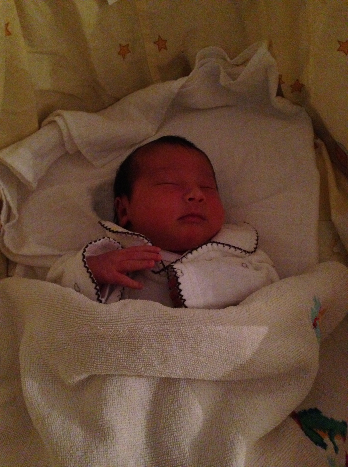/schnipsel/201301-jan-2013/11-unsere-queen-of-the-night/Foto.JPG