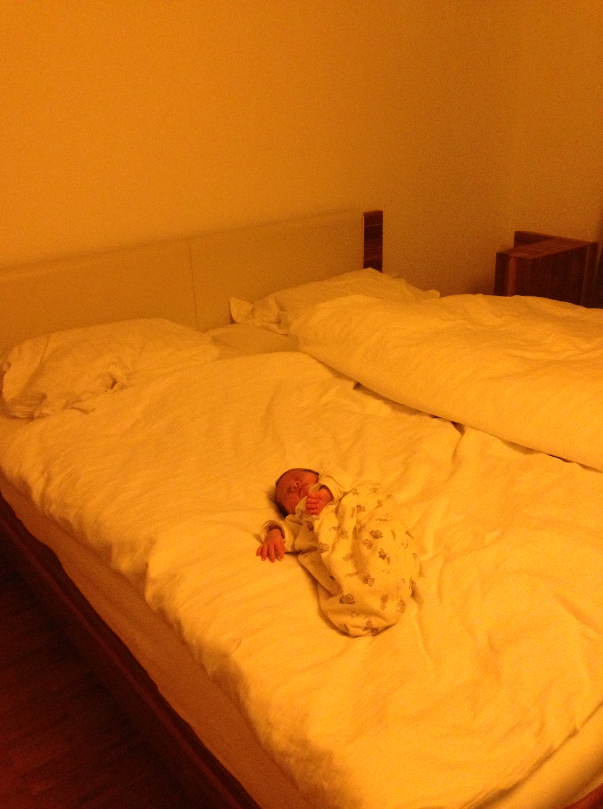 /schnipsel/201301-jan-2013/26-wie-war-das-ein-kleines-bett-fuer-die-menschheit-ein-grosses-bett-fuer-die-emilia/Foto.JPG