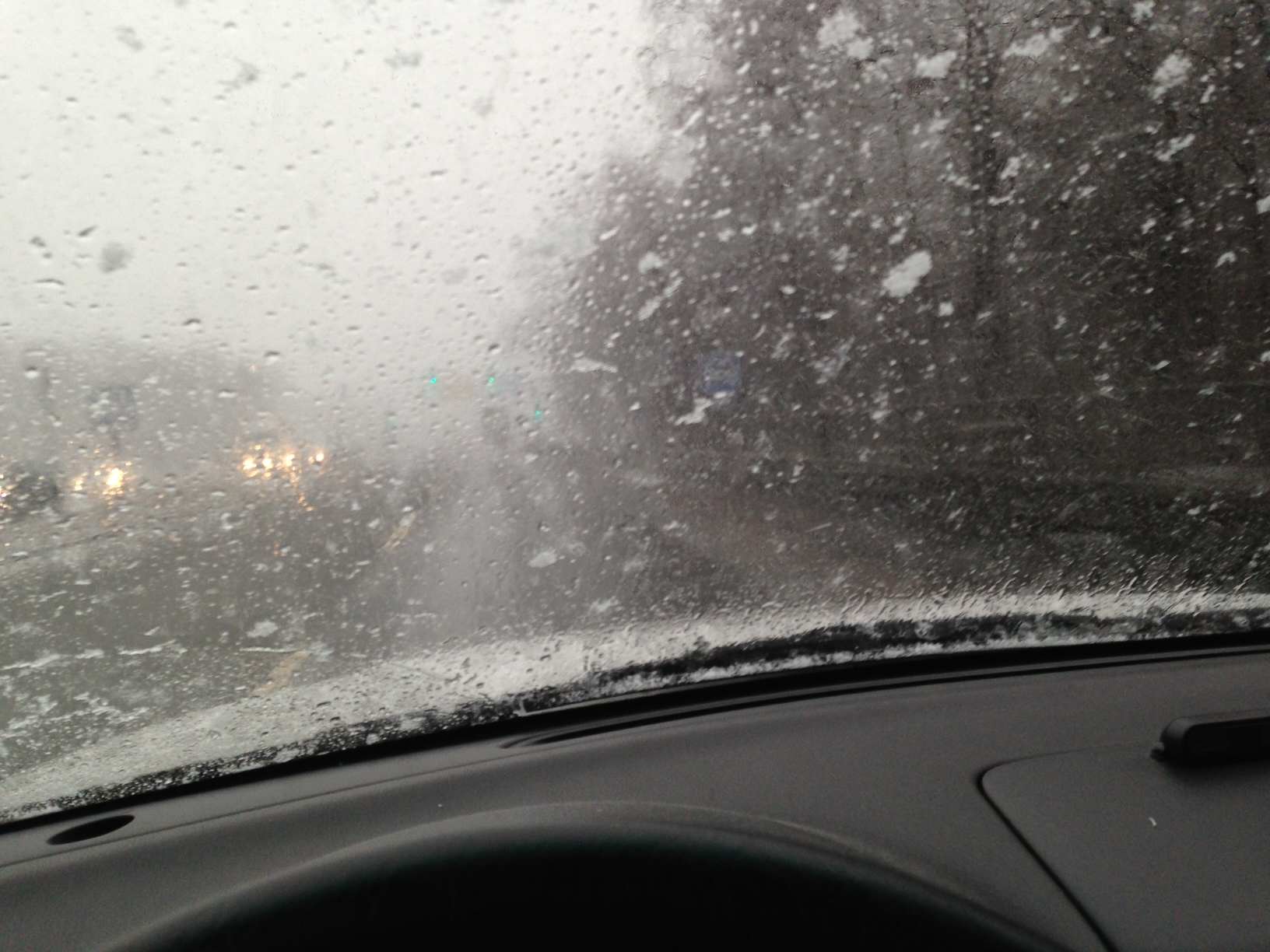 /schnipsel/201302-feb-2013/04-emilia-auf-deutschlandreise/Foto.JPG