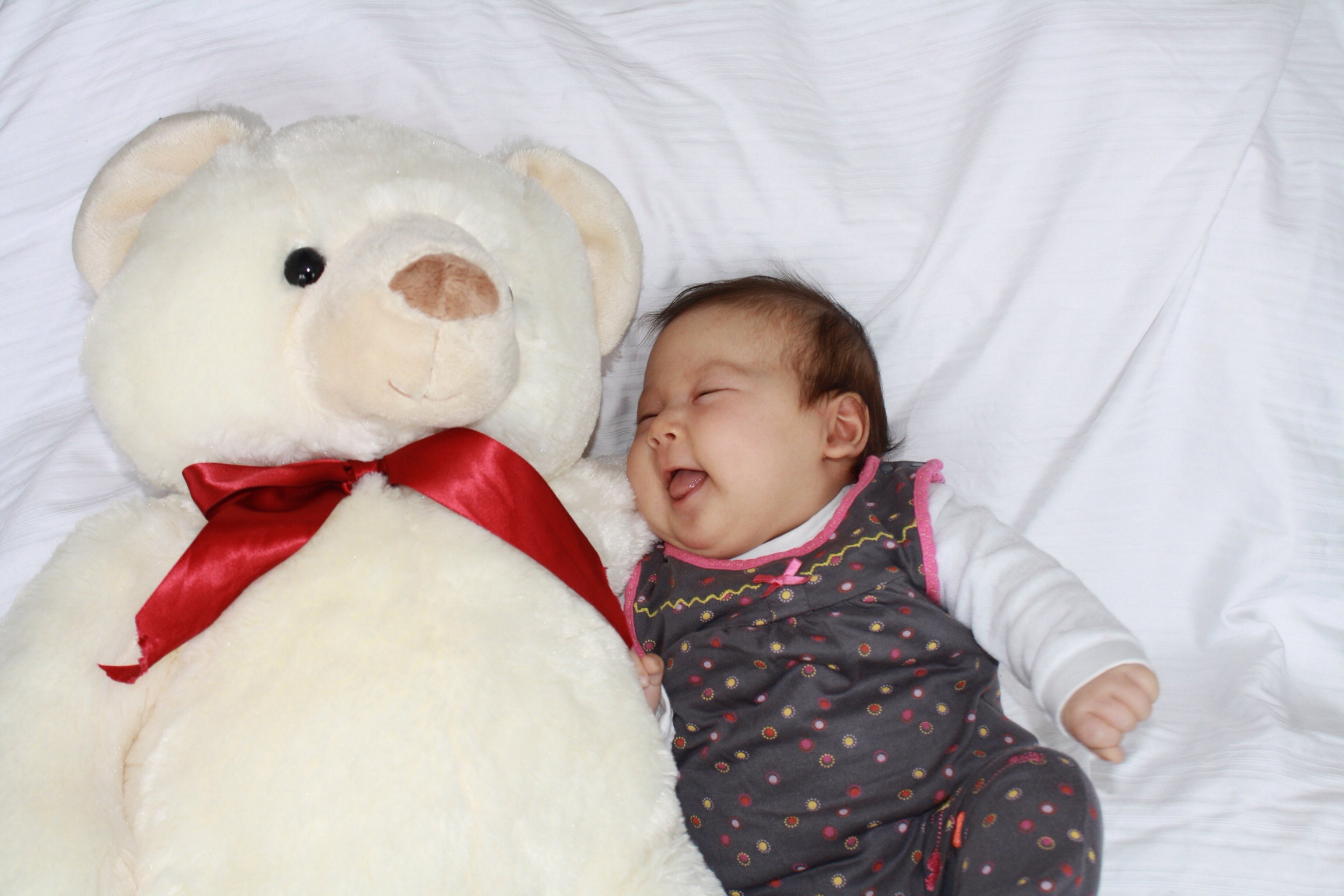 /schnipsel/201303-mar-2013/15-klaro-kenn-ich-den-das-ist-mein-kumpel-der-teddy/Foto.JPG