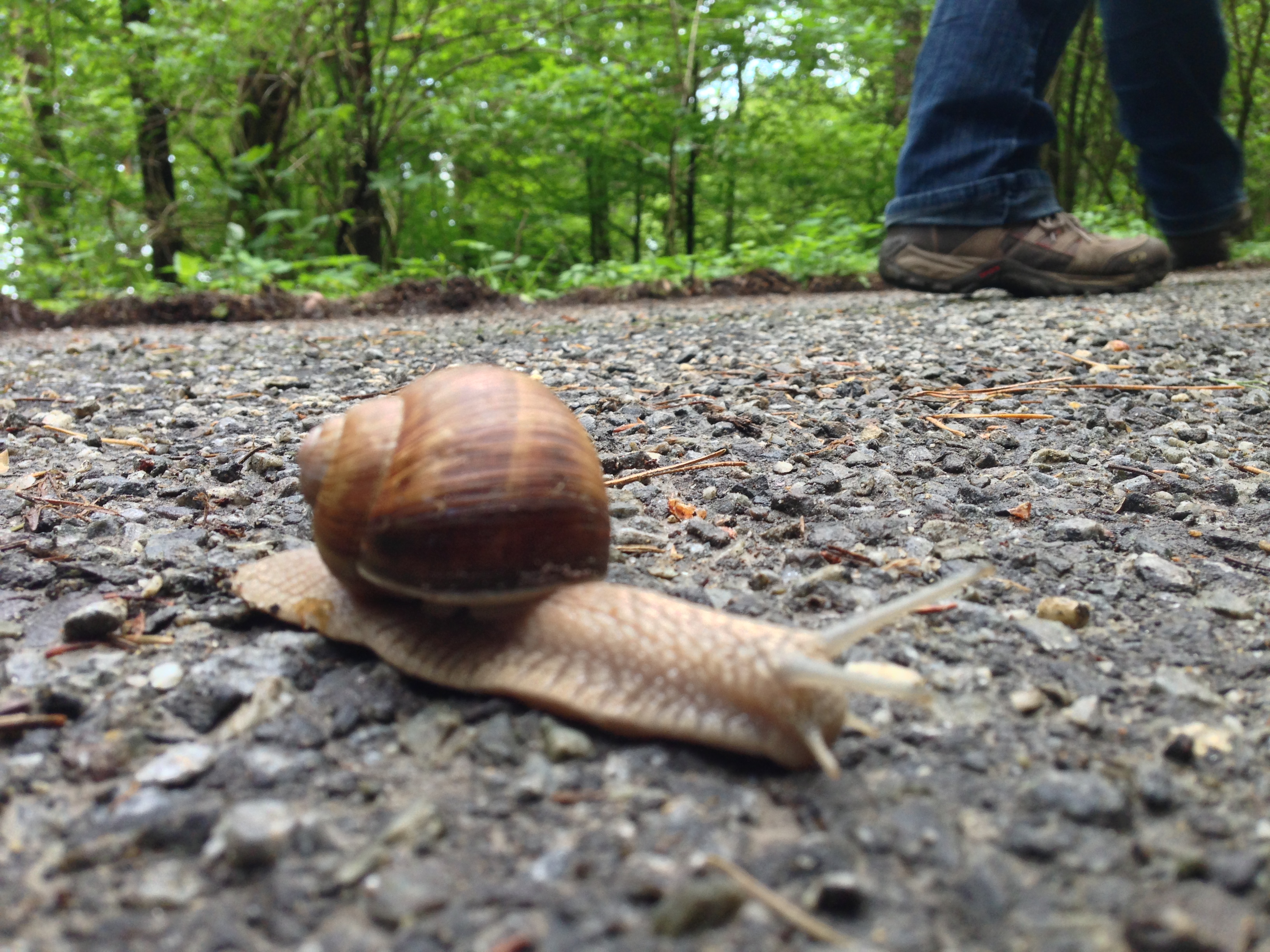 /schnipsel/201305-mai-2013/13-die-ersten-kontrahenten-auf-dem-weg-nach-oben-koennen-wir-schon-ueberholen/Foto.JPG