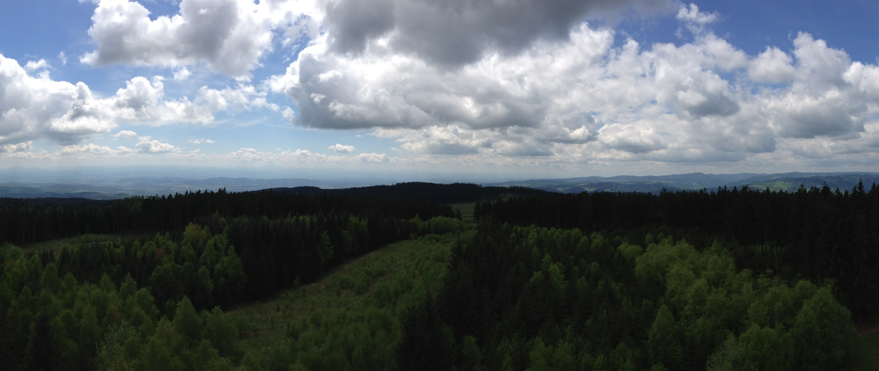 /schnipsel/201305-mai-2013/14-endlich/Foto.jpg