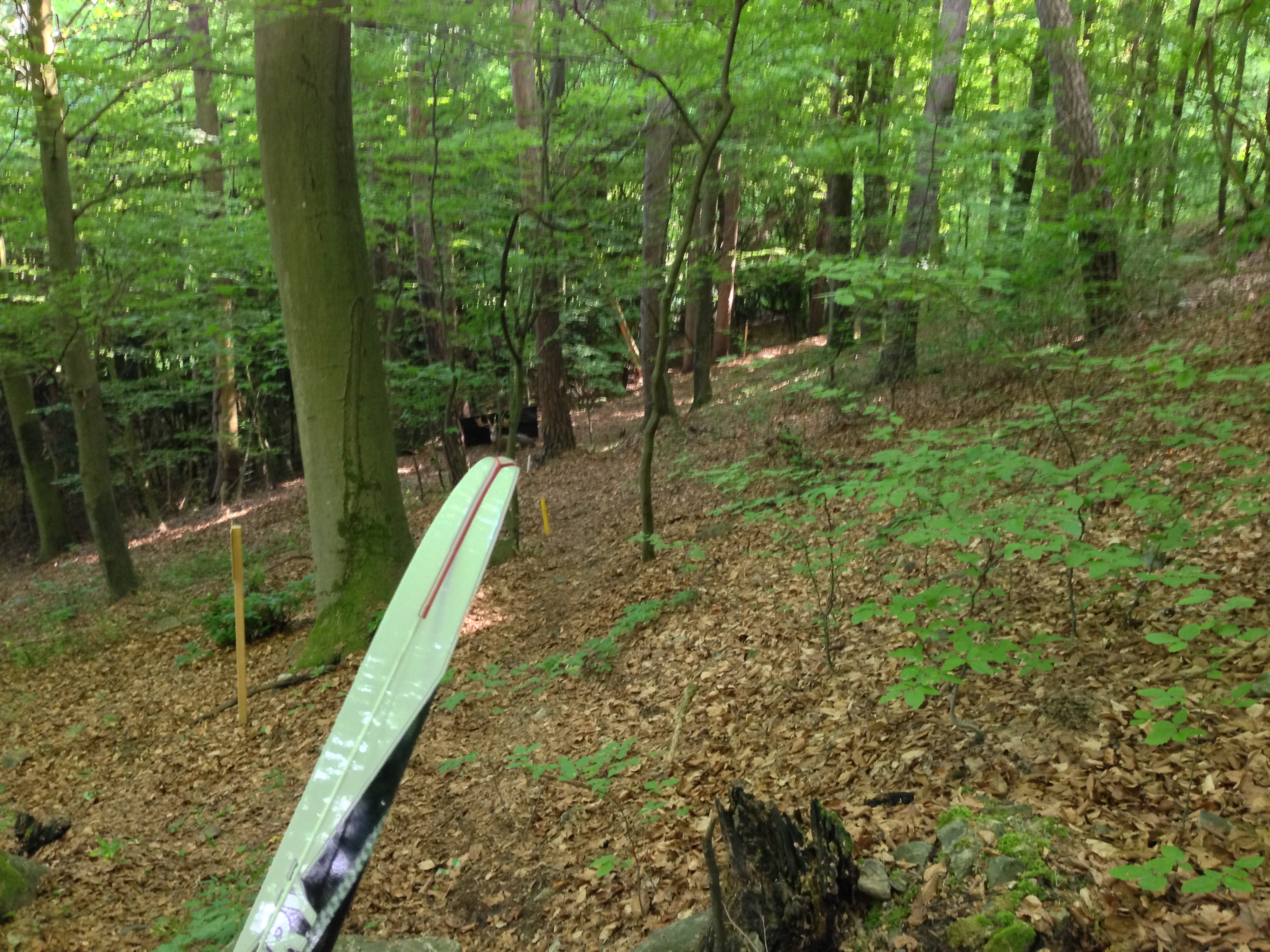 /schnipsel/201305-mai-2013/18-da-liegt-ein-reh/IMG_0887.JPG