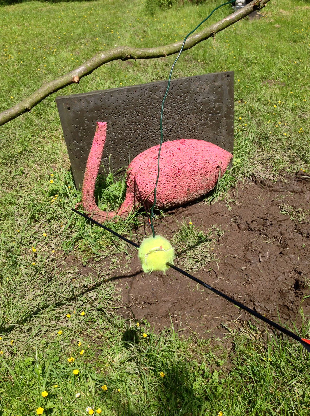 /schnipsel/201306-jun-2013/05-leider-nur-wenig-erfolg-heute-wenigstens-der-tennisball-musste-dran-glauben/Foto.JPG