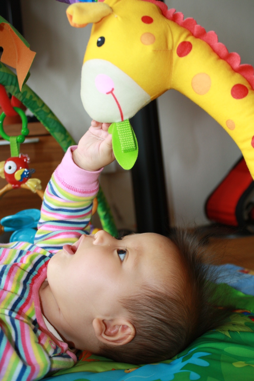 /schnipsel/201306-jun-2013/16-emilia-und-die-giraffe/Attachment-1.jpeg
