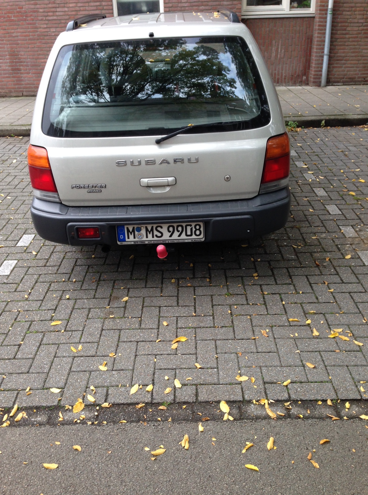 /schnipsel/201310-oct-2013/06-sieht-hier-jemand-ein-parkverbot/Foto.JPG