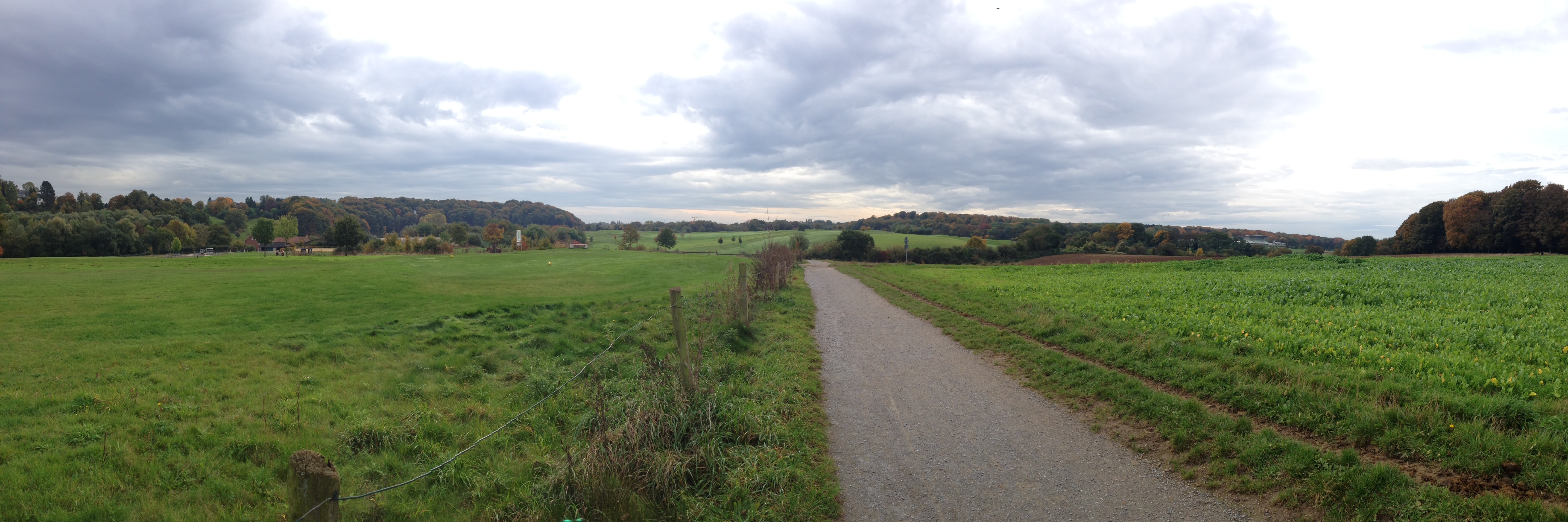/schnipsel/201310-oct-2013/10-herbst-in-duesseldorf/Foto.JPG
