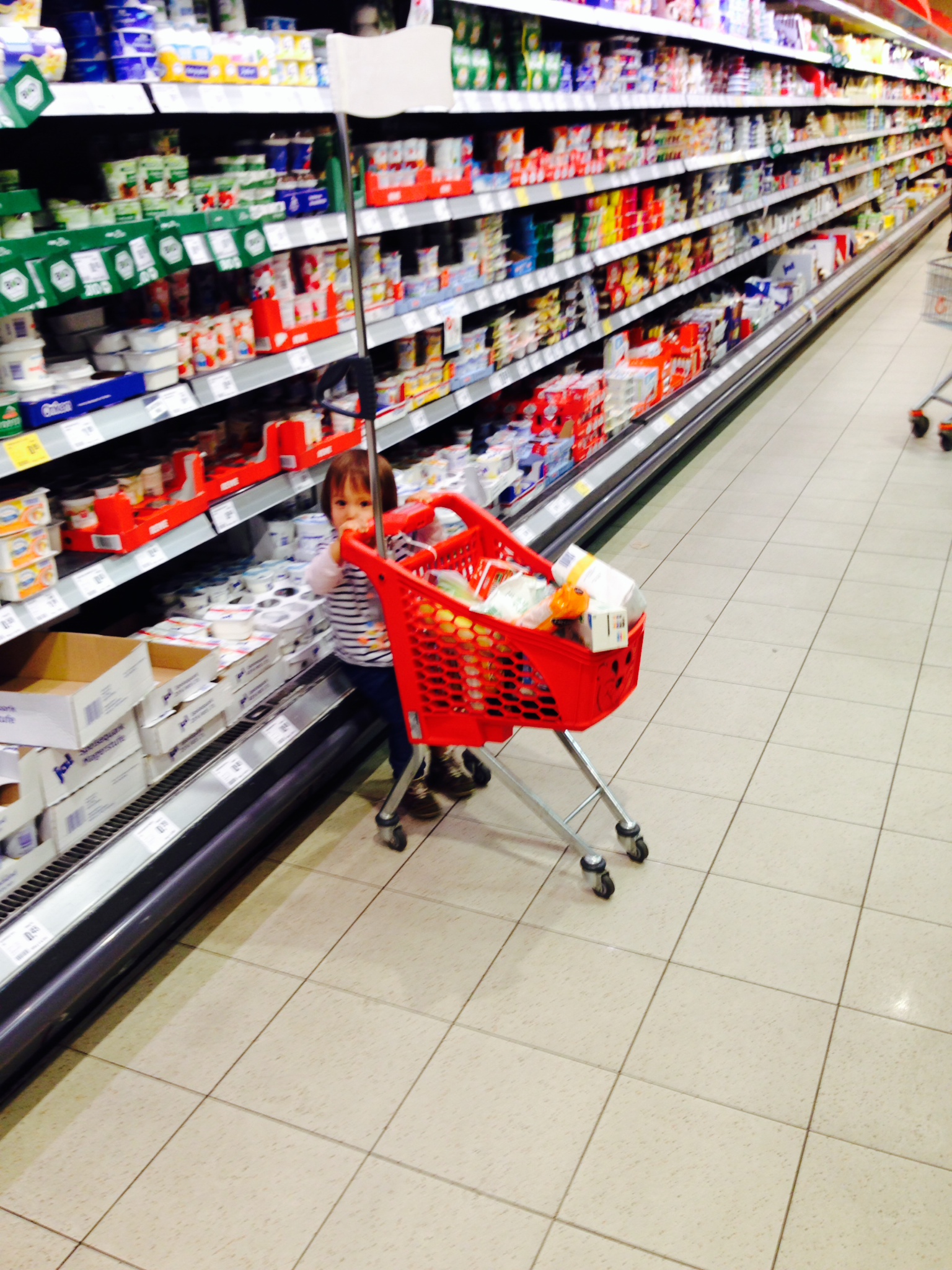 /schnipsel/201409-sep-2014/03-ausruhen-vom-einkaufen/0Foto.JPG