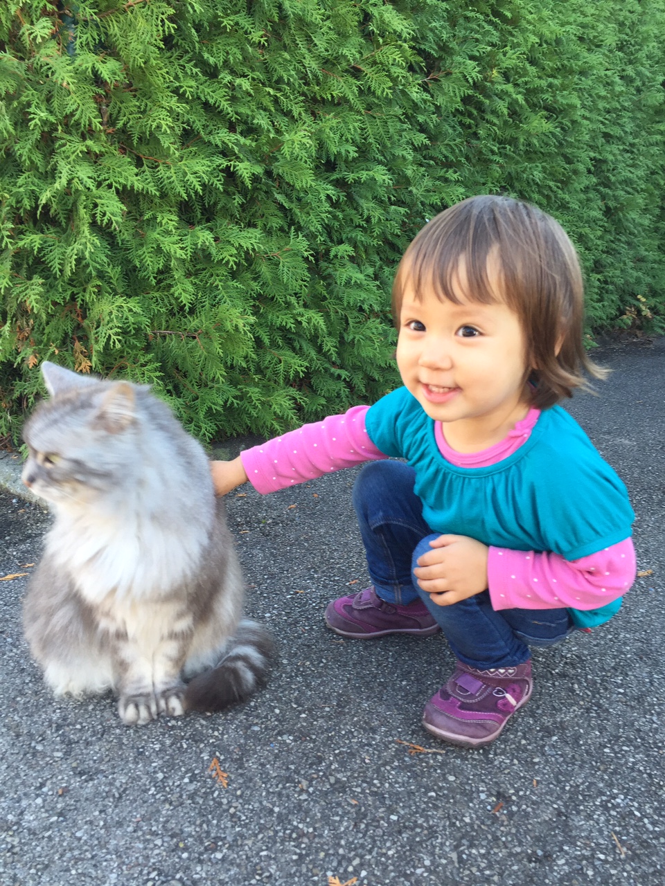 /schnipsel/201410-oct-2014/11-katze-streicheln/0IMG_1481.JPG