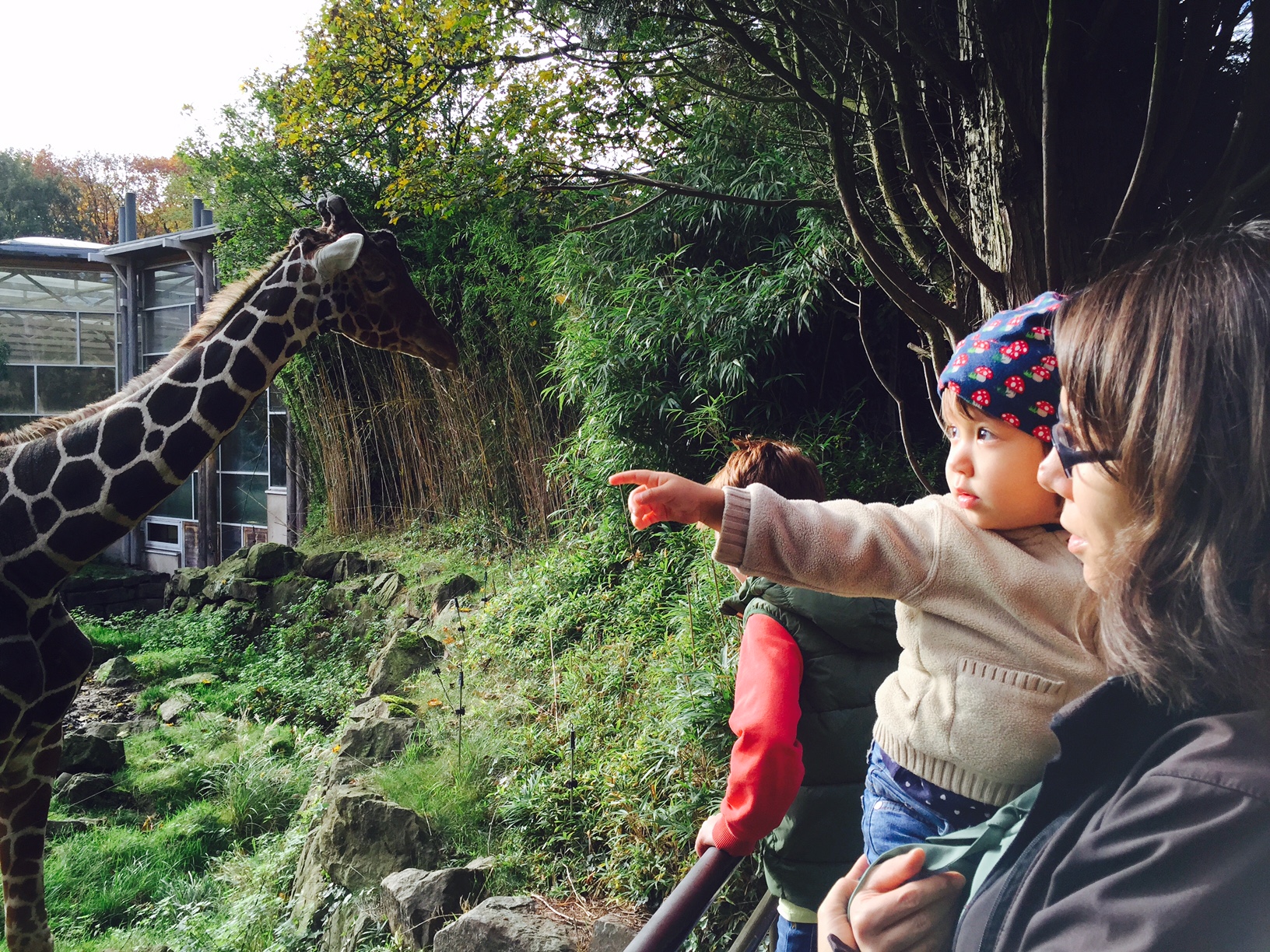 /schnipsel/201411-nov-2014/02-im-zoo-in-duisburg/0image1.jpeg