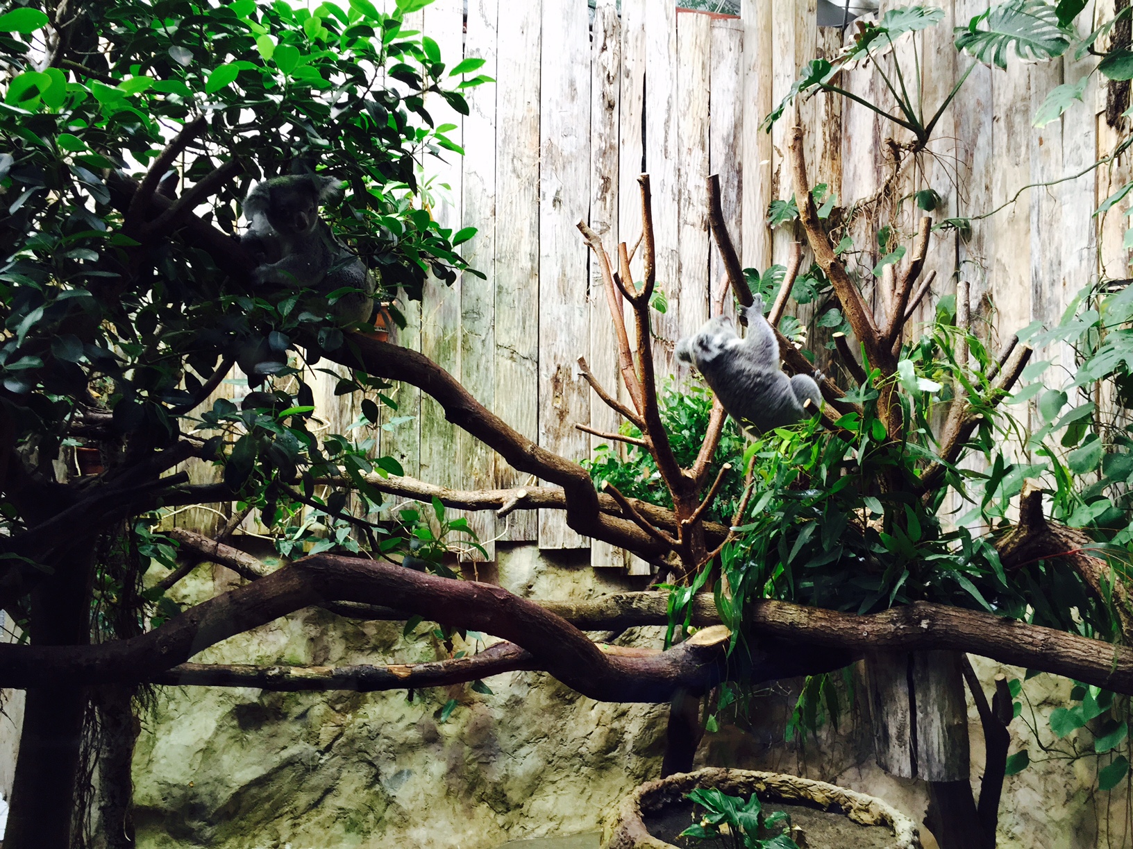 /schnipsel/201411-nov-2014/02-im-zoo-in-duisburg/0image2.jpeg