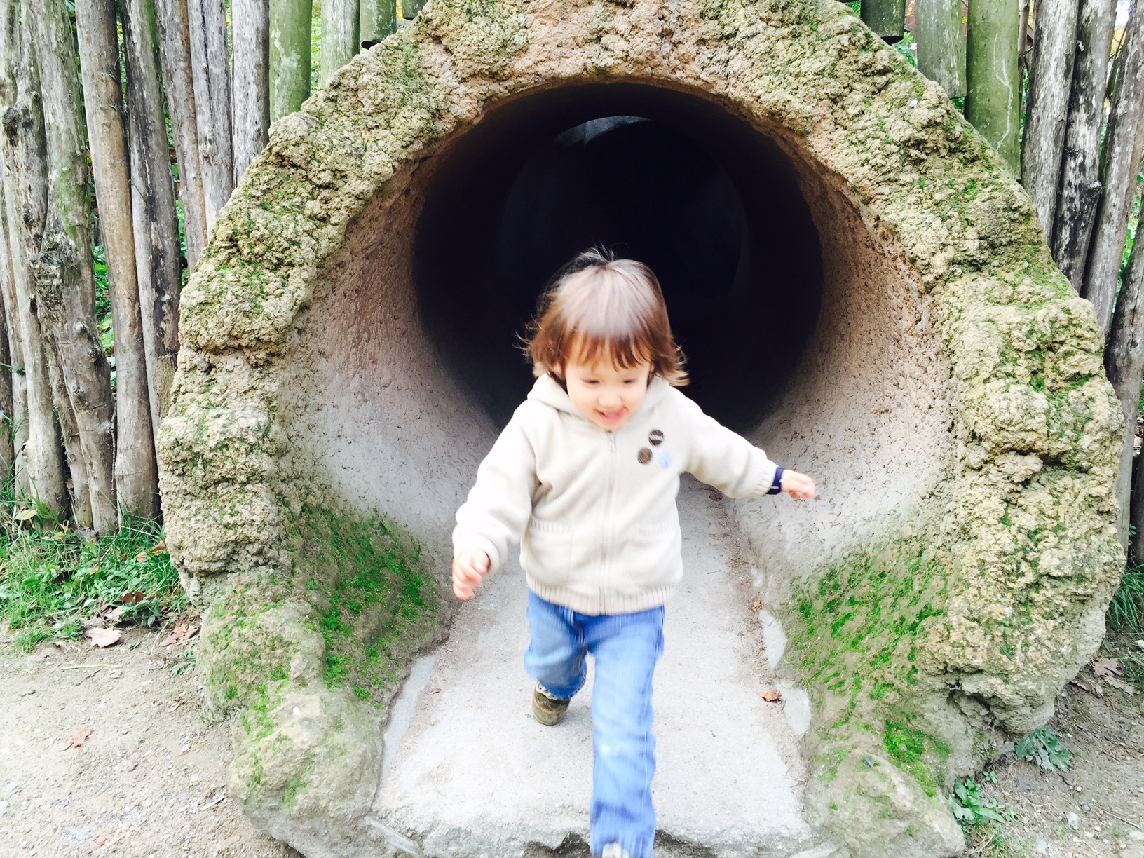 /schnipsel/201411-nov-2014/02-im-zoo-in-duisburg/0image5.jpeg