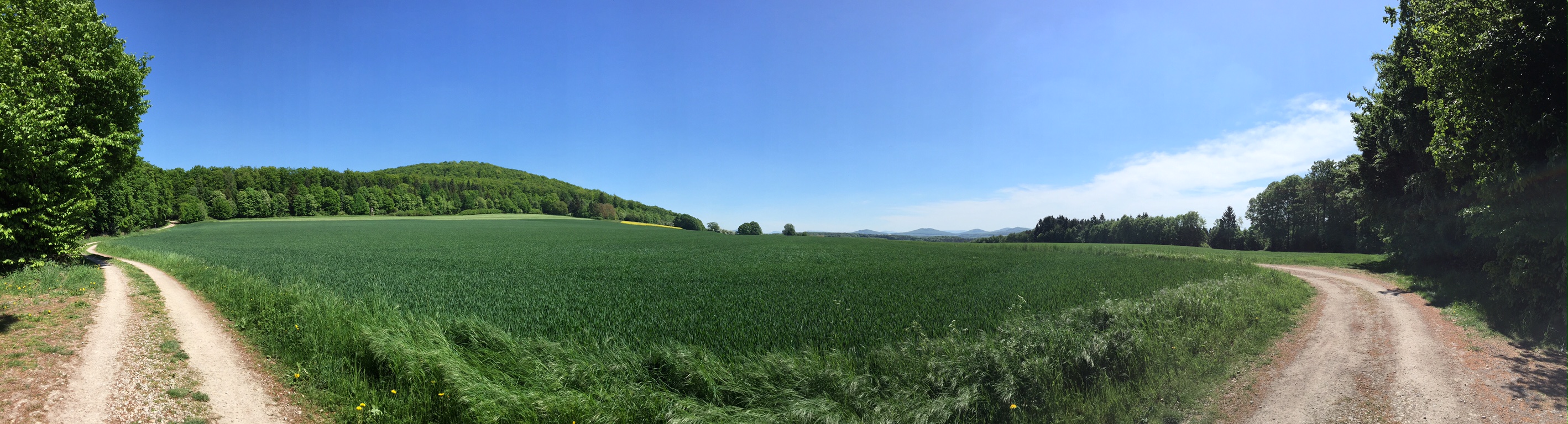 /schnipsel/201505-mai-2015/05-klettern-bei-haunetal/0IMG_8310.JPG