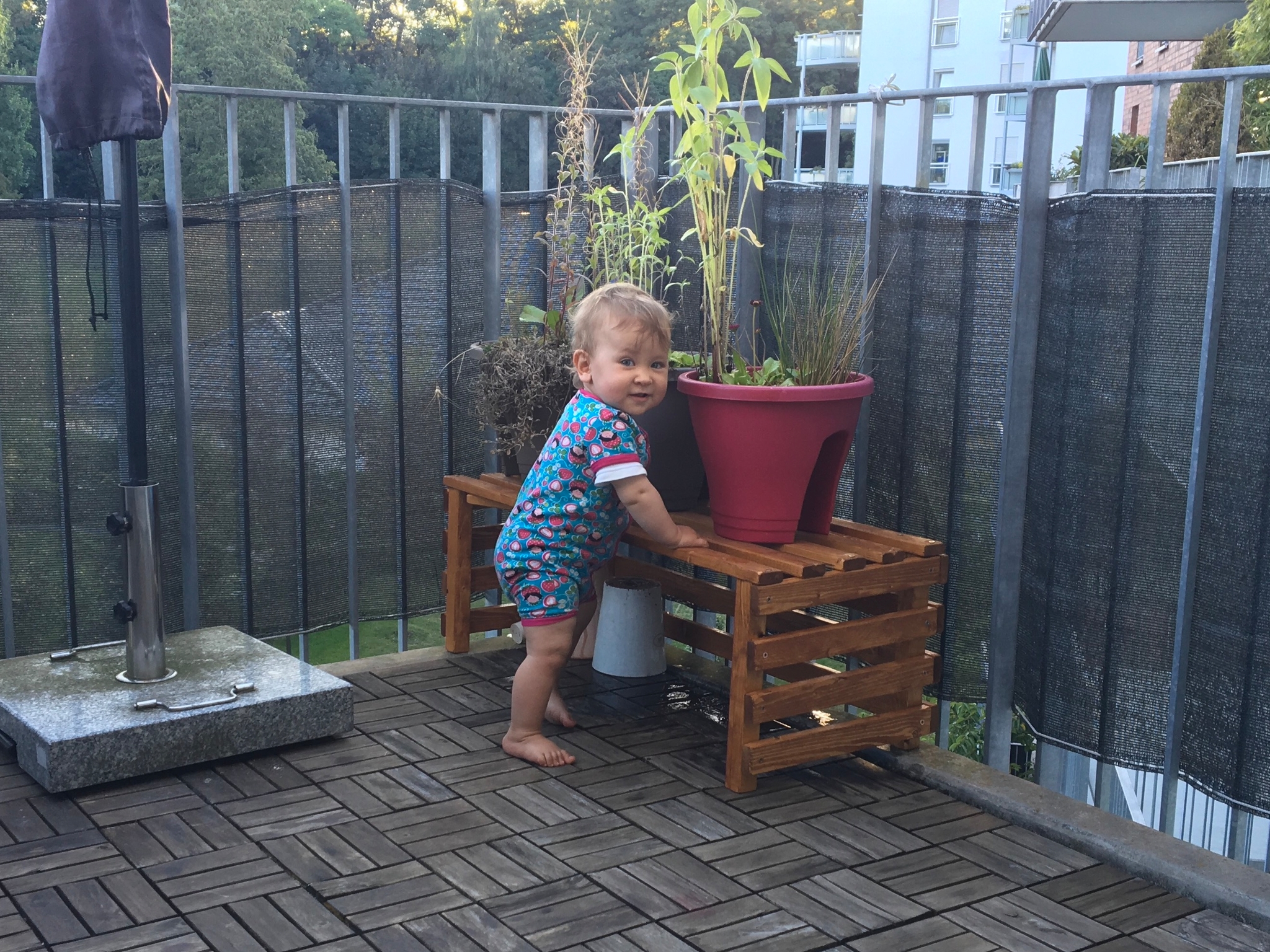 /schnipsel/201609-september-2016/20160907-auf-dem-balkon/img_0498.jpg