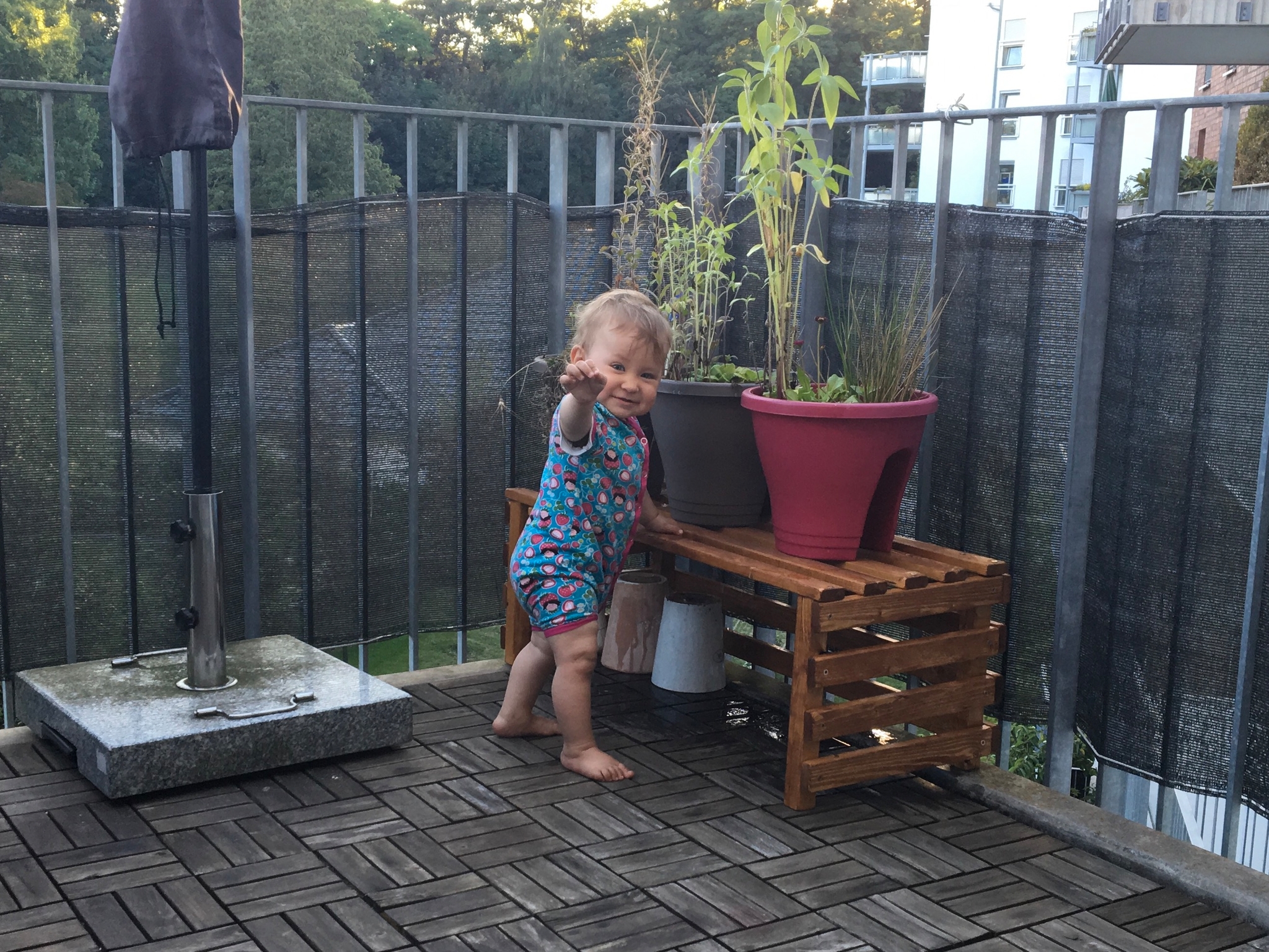 /schnipsel/201609-september-2016/20160907-auf-dem-balkon/img_0510.jpg
