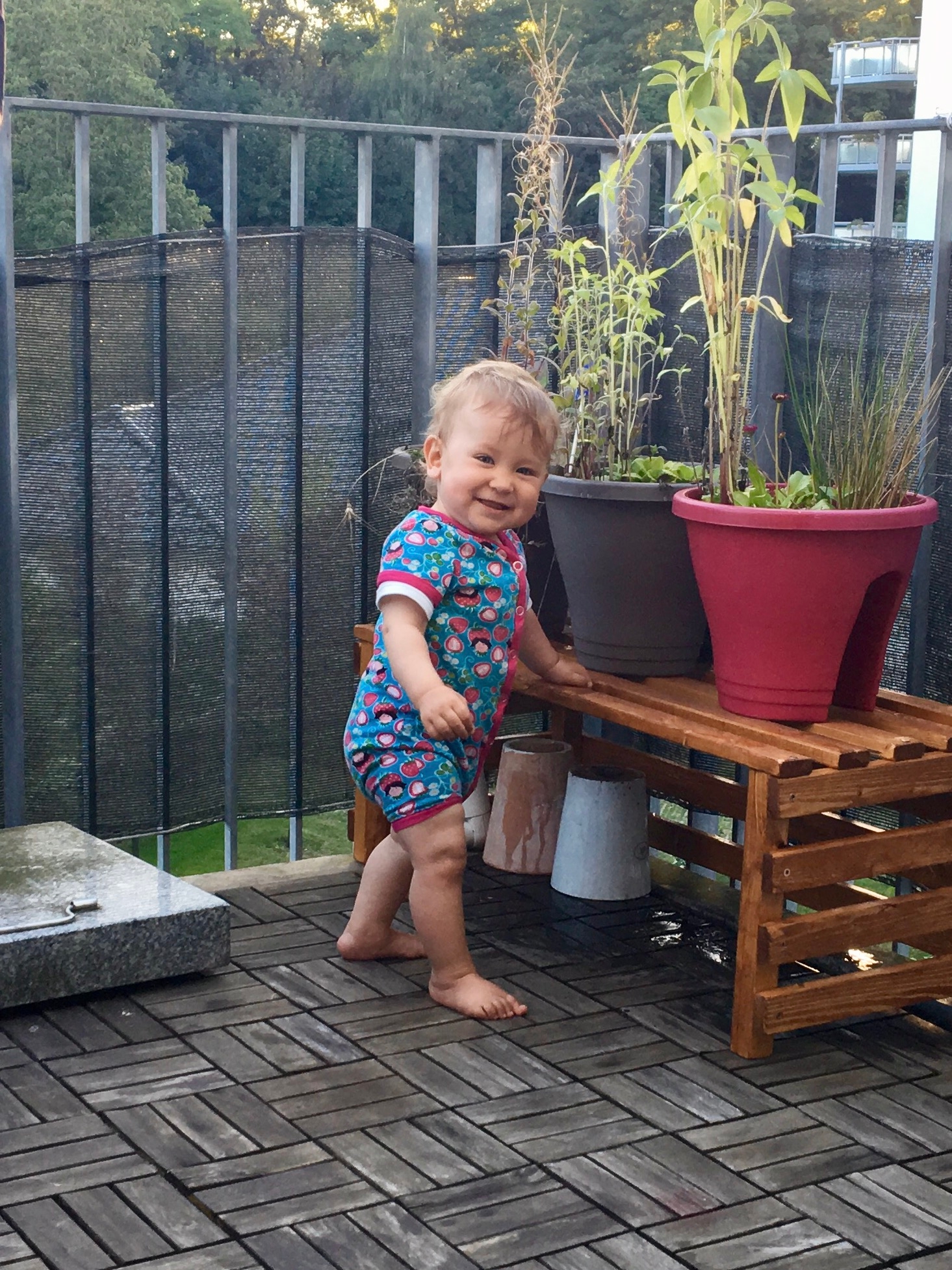 /schnipsel/201609-september-2016/20160907-auf-dem-balkon/img_0535.jpg
