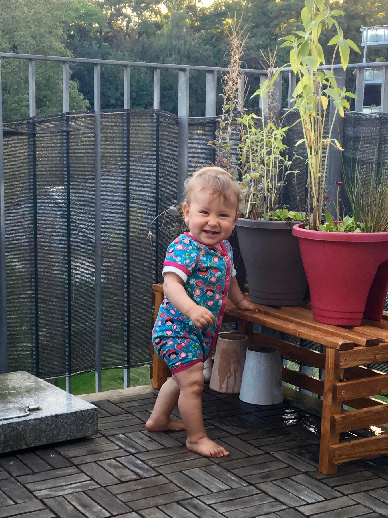 /schnipsel/201609-september-2016/20160907-auf-dem-balkon/img_0537.jpg