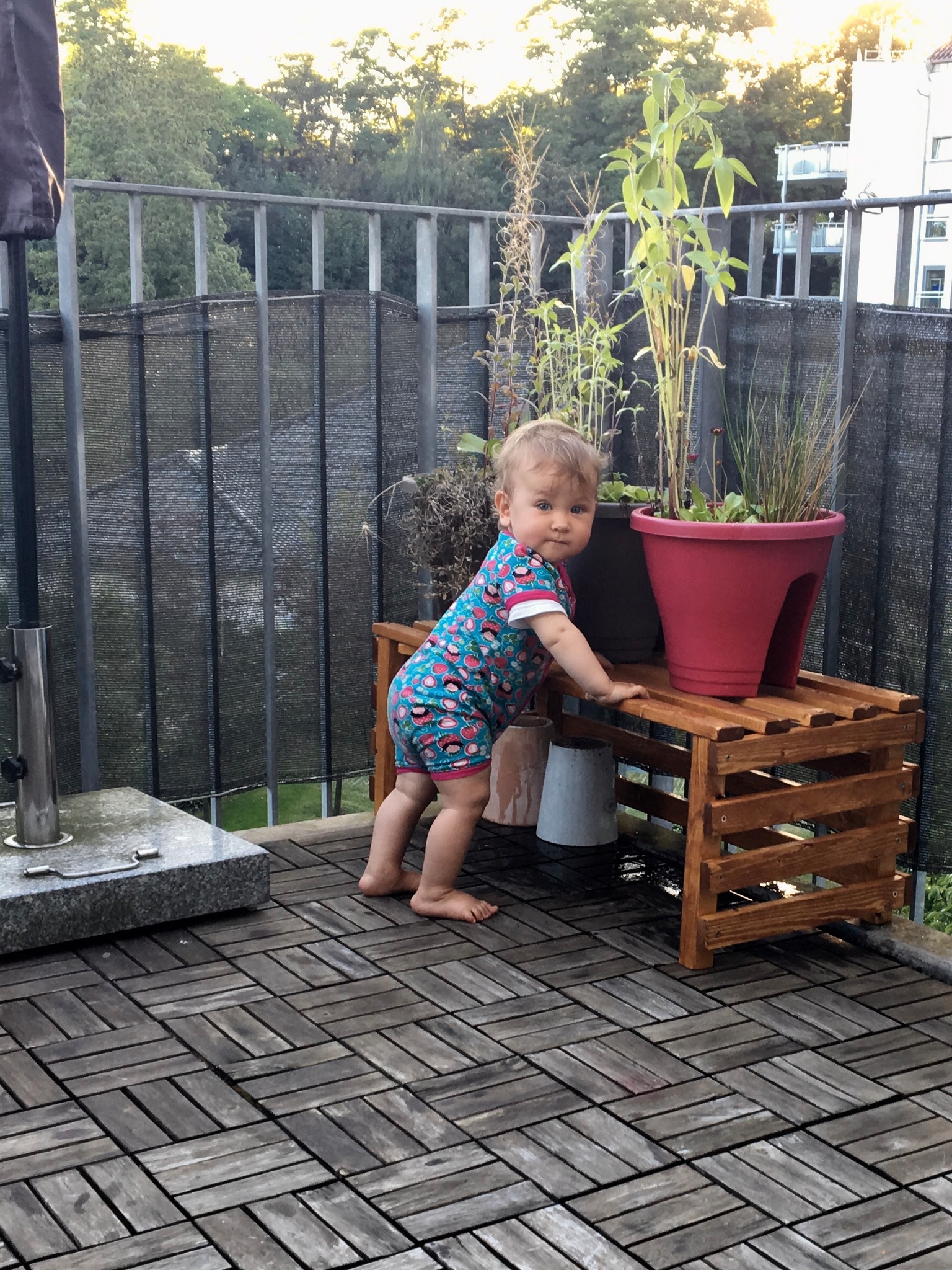 /schnipsel/201609-september-2016/20160907-auf-dem-balkon/img_0541.jpg
