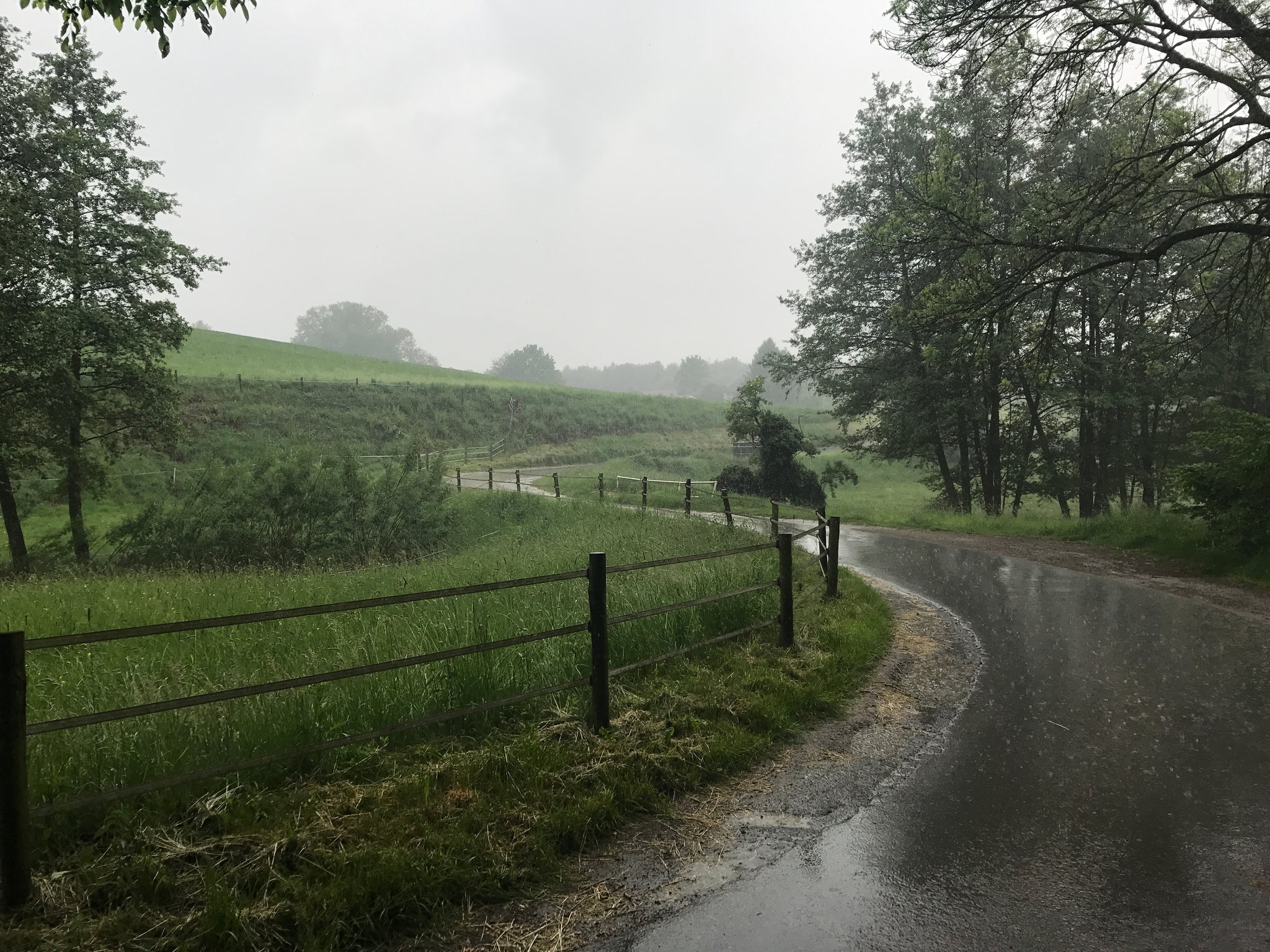 /schnipsel/201705-mai/20170518-heute-35km-gelaufen-war-anstrengend/img_5419.jpg
