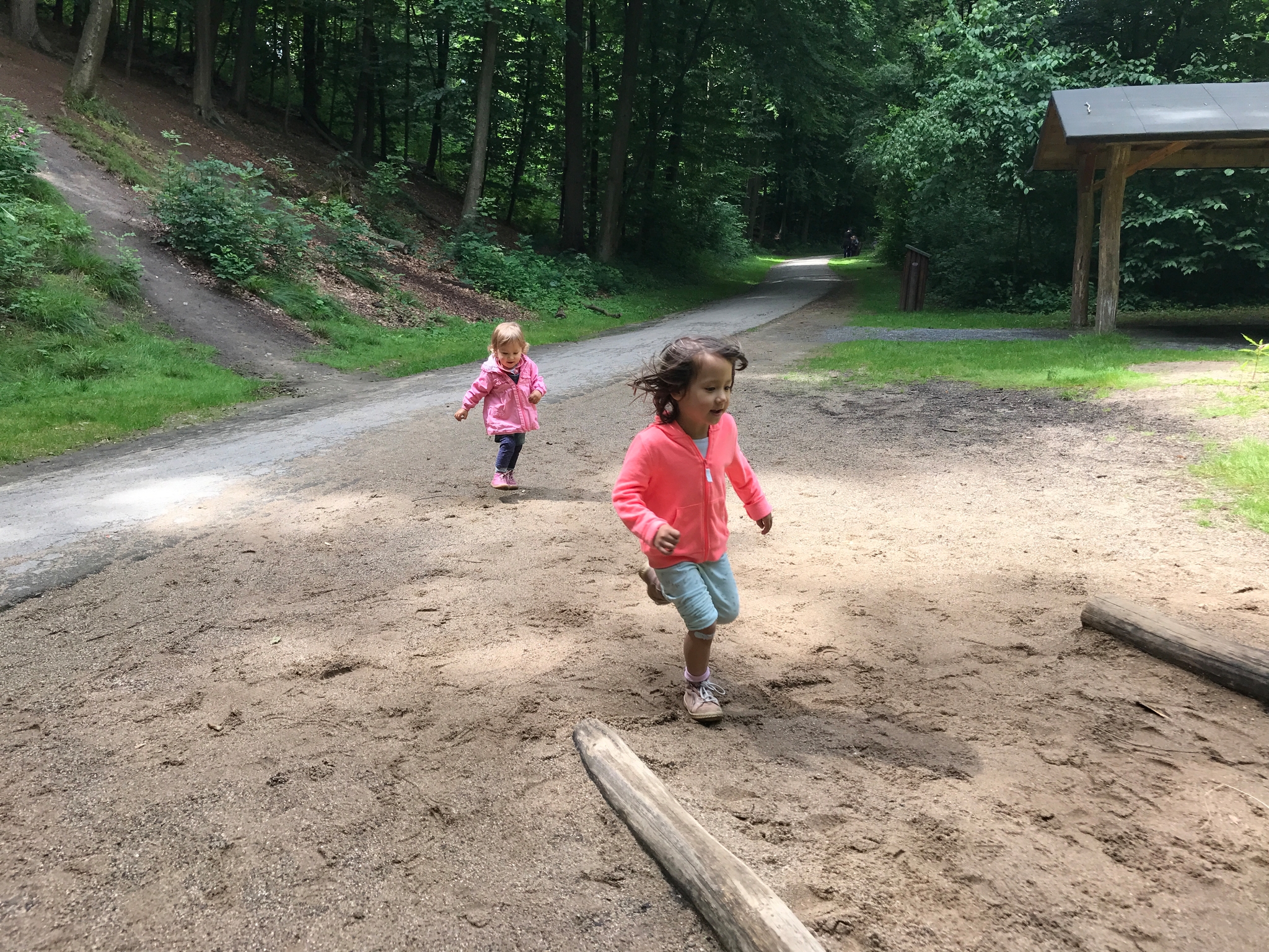/schnipsel/201707-juli-2017/20170715-im-wildpark/img_7104.jpg