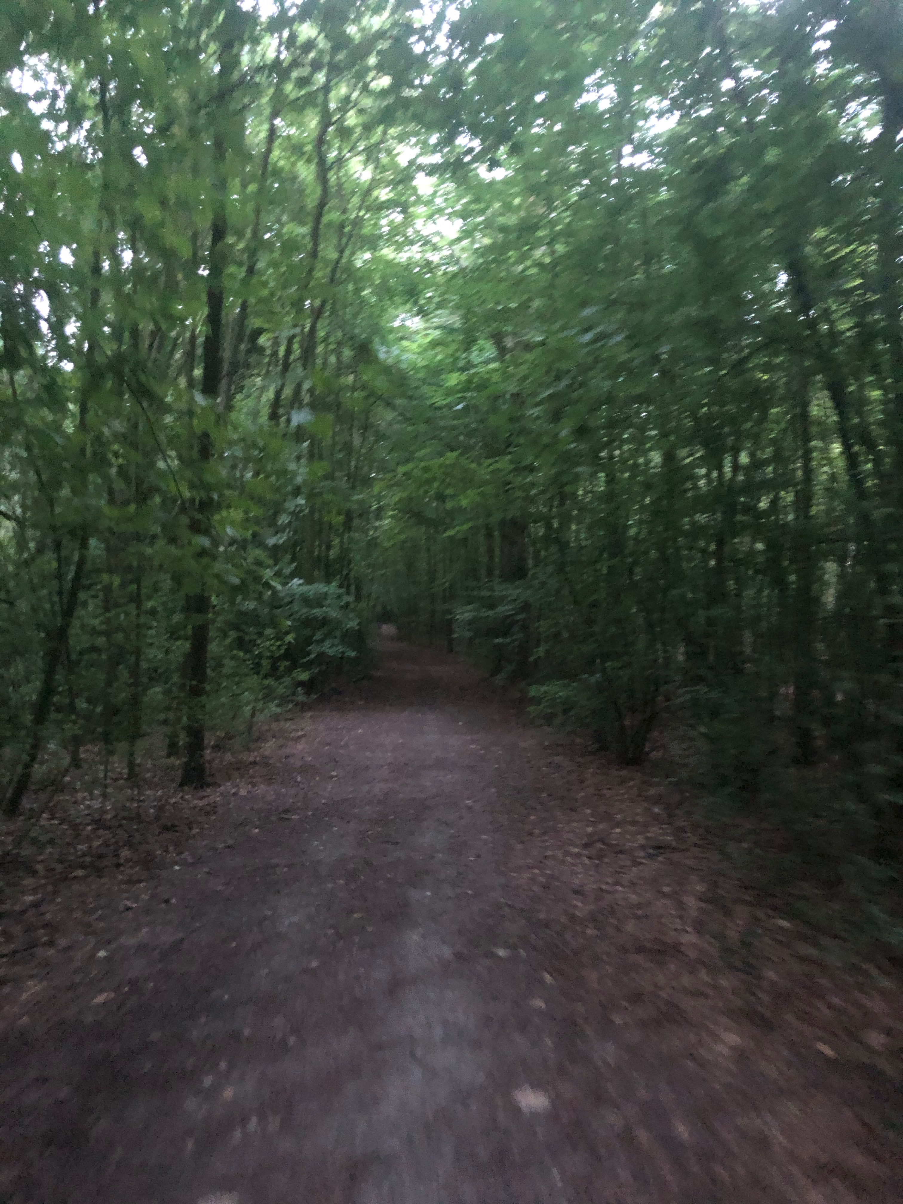 /schnipsel/201907-juli-2019/20190727-eine-runde-um-den-block/IMG_2161.jpeg